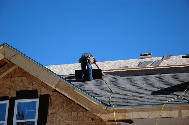 Best Gutter Installation and Roofing  in Homestead Meadows North, TX