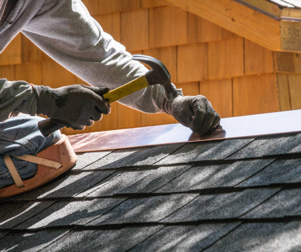 Best Metal Roofing Contractor  in Homestead Meadows North, TX